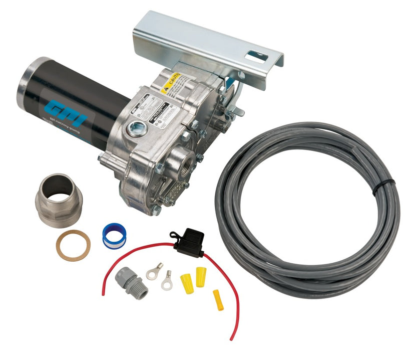 GPI V25 Fuel Transfer Pump Kit with 18-ft Hose & Auto Diesel
